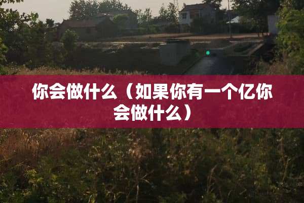 你会做什么（如果你有一个亿你会做什么）