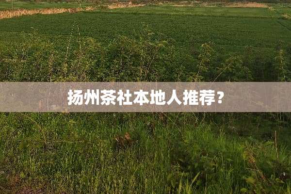 扬州茶社本地人推荐？