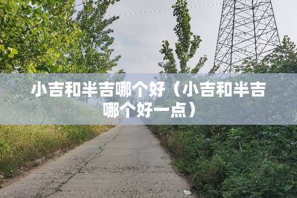 小吉和半吉哪个好（小吉和半吉哪个好一点）