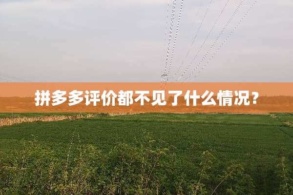 拼多多评价都不见了什么情况？