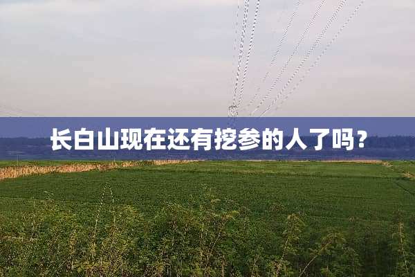 长白山现在还有挖参的人了吗？
