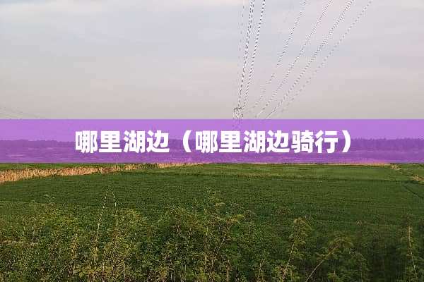 哪里湖边（哪里湖边骑行）