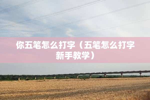 你五笔怎么打字（五笔怎么打字新手教学）