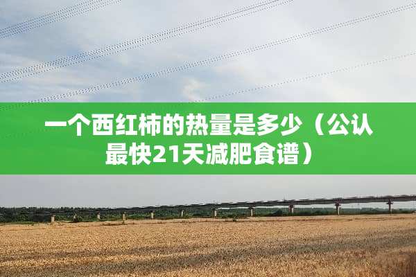 一个西红柿的热量是多少（公认最快21天减肥食谱）