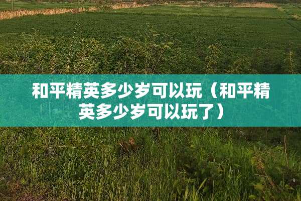 和平精英多少岁可以玩（和平精英多少岁可以玩了）