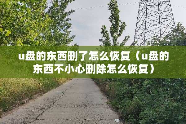 u盘的东西删了怎么恢复（u盘的东西不小心删除怎么恢复）