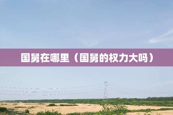 国舅在哪里（国舅的权力大吗）