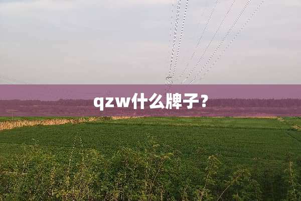 qzw什么牌子？