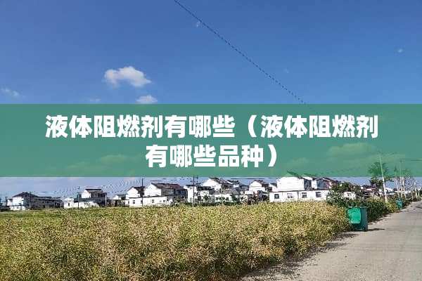 液体阻燃剂有哪些（液体阻燃剂有哪些品种）