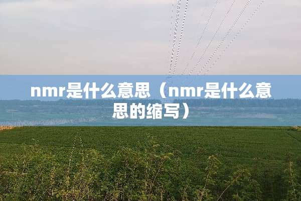 nmr是什么意思（nmr是什么意思的缩写）