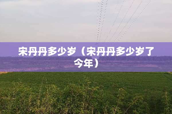 宋丹丹多少岁（宋丹丹多少岁了今年）
