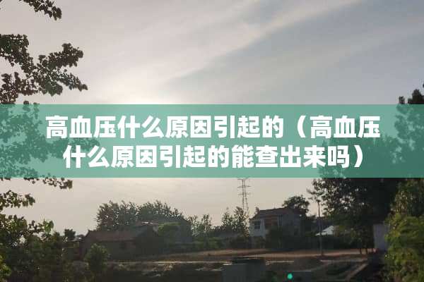 高血压什么原因引起的（高血压什么原因引起的能查出来吗）