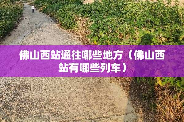 佛山西站通往哪些地方（佛山西站有哪些列车）