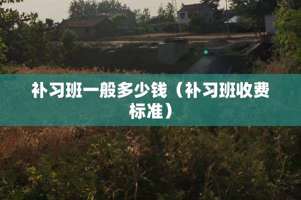 补习班一般多少钱（补习班收费标准）