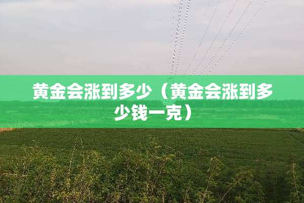 黄金会涨到多少（黄金会涨到多少钱一克）