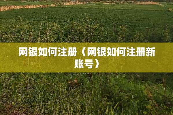 网银如何注册（网银如何注册新账号）