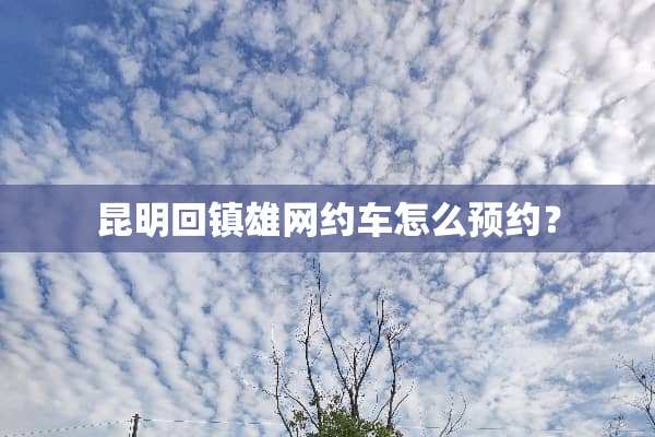 昆明回镇雄网约车怎么预约？
