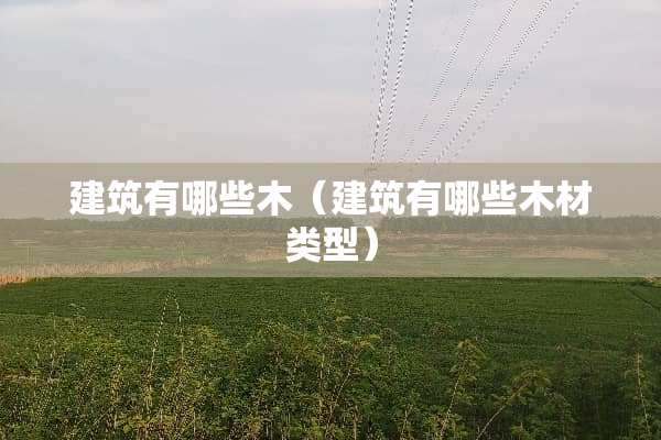 建筑有哪些木（建筑有哪些木材类型）