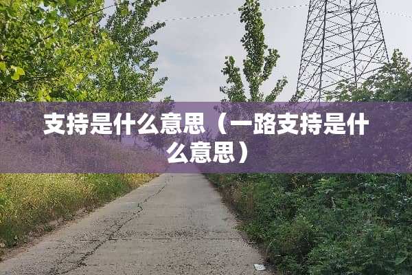 支持是什么意思（一路支持是什么意思）