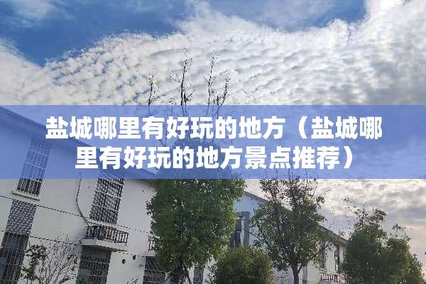 盐城哪里有好玩的地方（盐城哪里有好玩的地方景点推荐）