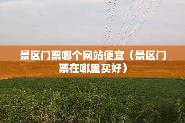 景区门票哪个网站便宜（景区门票在哪里买好）