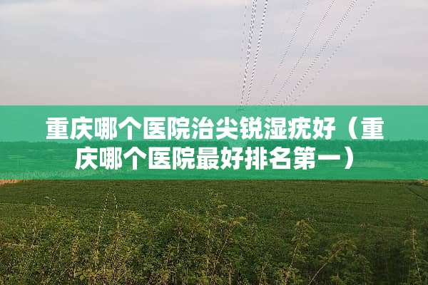 重庆哪个医院治尖锐湿疣好（重庆哪个医院最好排名第一）
