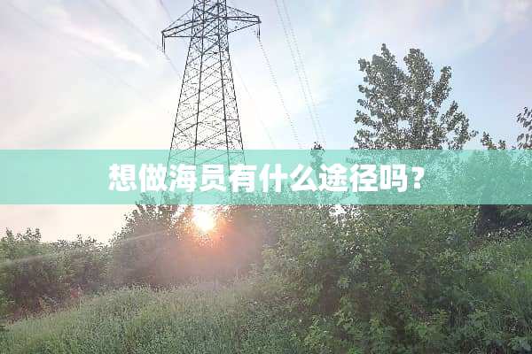 想做海员有什么途径吗？