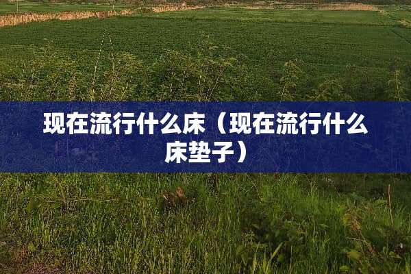 现在流行什么床（现在流行什么床垫子）