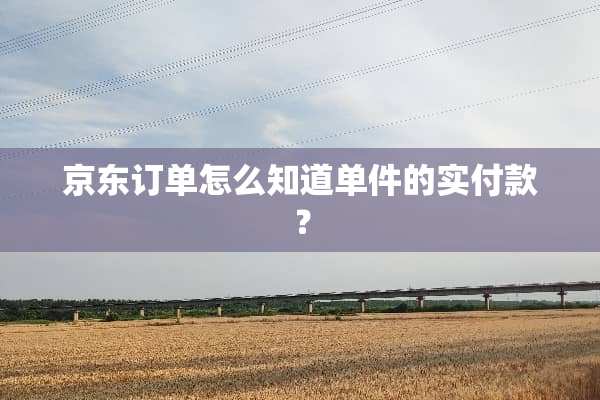 京东订单怎么知道单件的实付款？