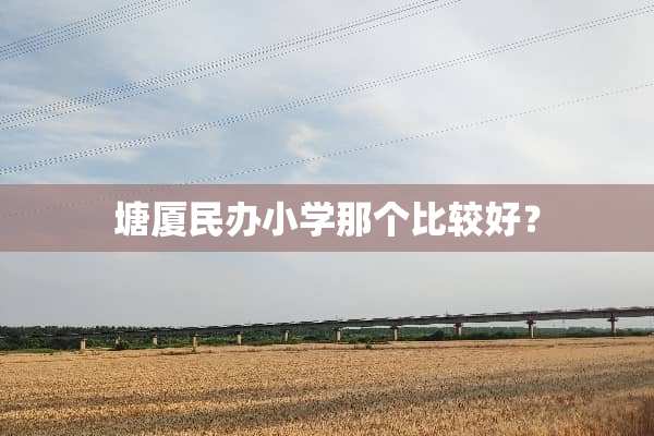 塘厦民办小学那个比较好？