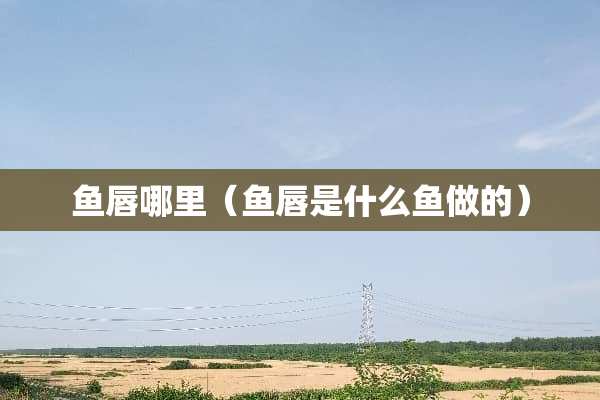 鱼唇哪里（鱼唇是什么鱼做的）