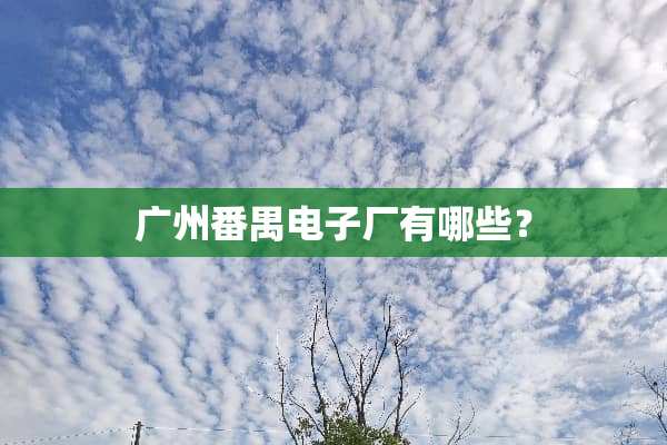 广州番禺电子厂有哪些？