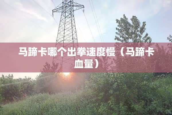 马蹄卡哪个出拳速度慢（马蹄卡血量）