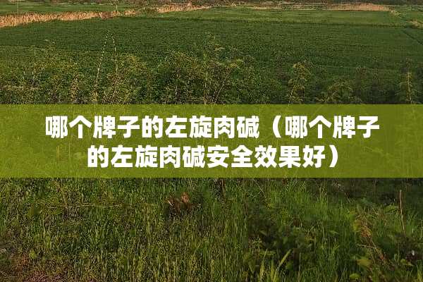 哪个牌子的左旋肉碱（哪个牌子的左旋肉碱安全效果好）