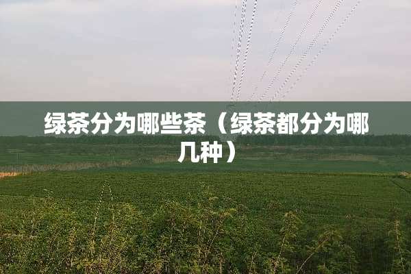绿茶分为哪些茶（绿茶都分为哪几种）