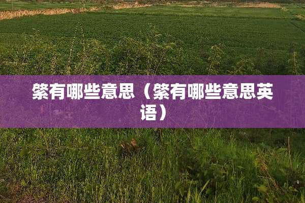綮有哪些意思（綮有哪些意思英语）