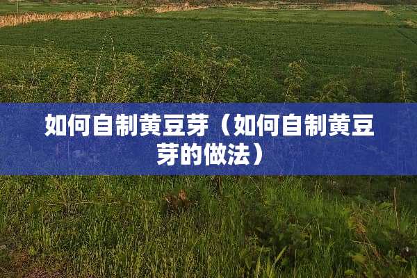 如何自制黄豆芽（如何自制黄豆芽的做法）