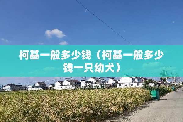 柯基一般多少钱（柯基一般多少钱一只幼犬）