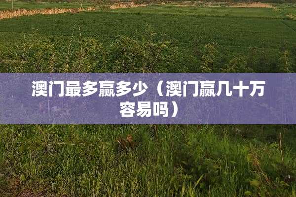 **最多赢多少（**赢几十万容易吗）