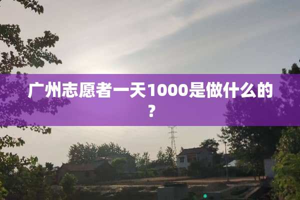 广州志愿者一天1000是做什么的？