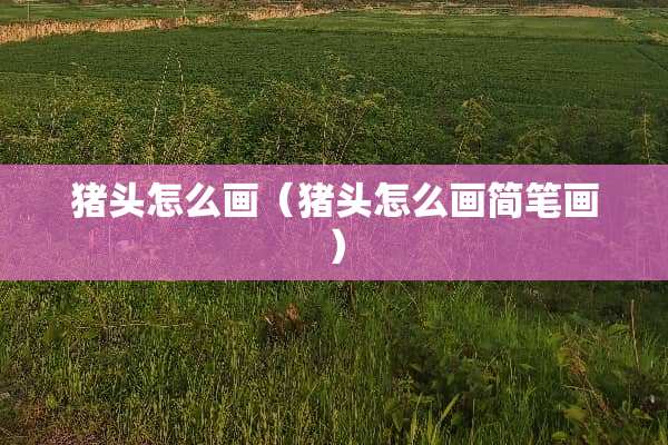 猪头怎么画（猪头怎么画简笔画）