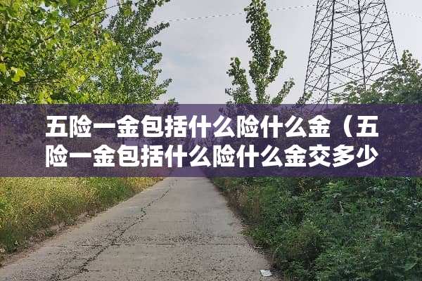 五险一金包括什么险什么金（五险一金包括什么险什么金交多少年）