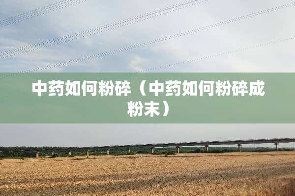 中药如何粉碎（中药如何粉碎成粉末）