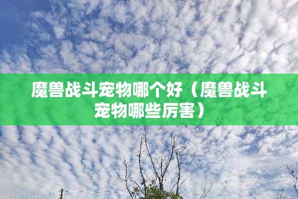 魔兽战斗宠物哪个好（魔兽战斗宠物哪些厉害）