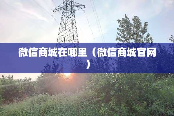 微信商城在哪里（微信商城官网）