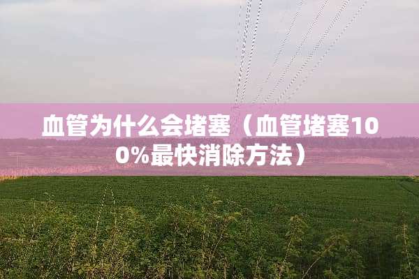 血管为什么会堵塞（血管堵塞100%最快消除方法）