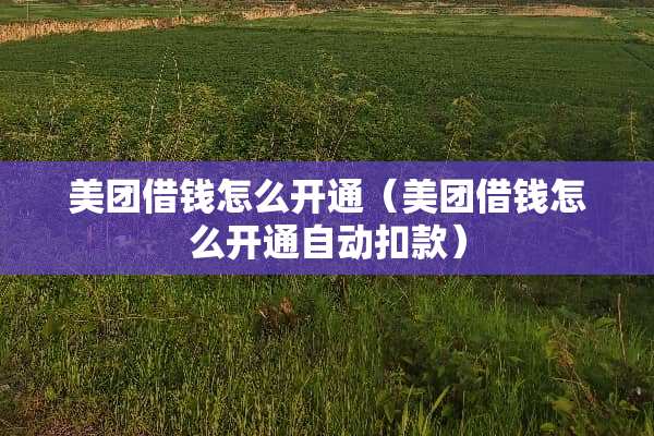 美团借钱怎么开通（美团借钱怎么开通自动扣款）