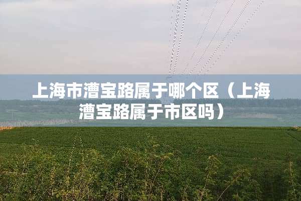上海市漕宝路属于哪个区（上海漕宝路属于市区吗）