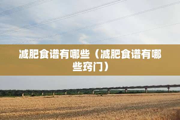 减肥食谱有哪些（减肥食谱有哪些窍门）