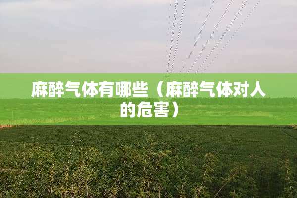 **气体有哪些（**气体对人的危害）